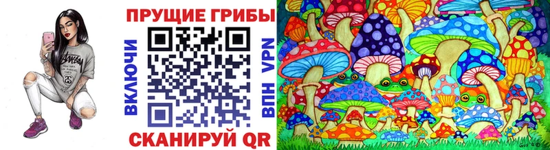 Псилоцибиновые грибы MAGIC MUSHROOMS  Купить где  Шелехов 